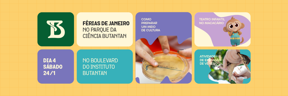 Arte com pequenos quadrados que mostram os destaques do quarto dia da programação de férias do Parque da Ciência